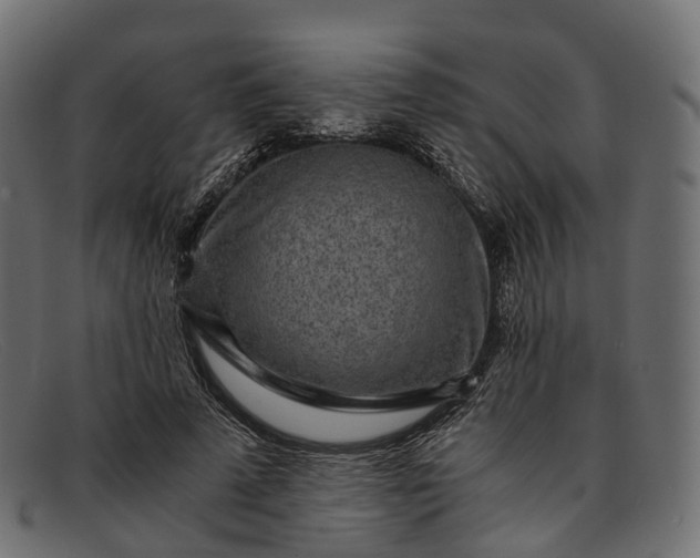 X0000091900689200709191238