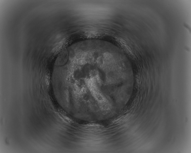 X0000091900691200709191238