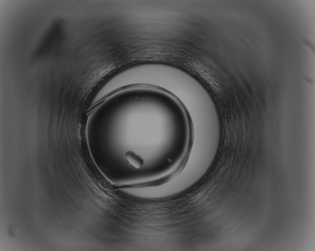 X0000091900692200709191238