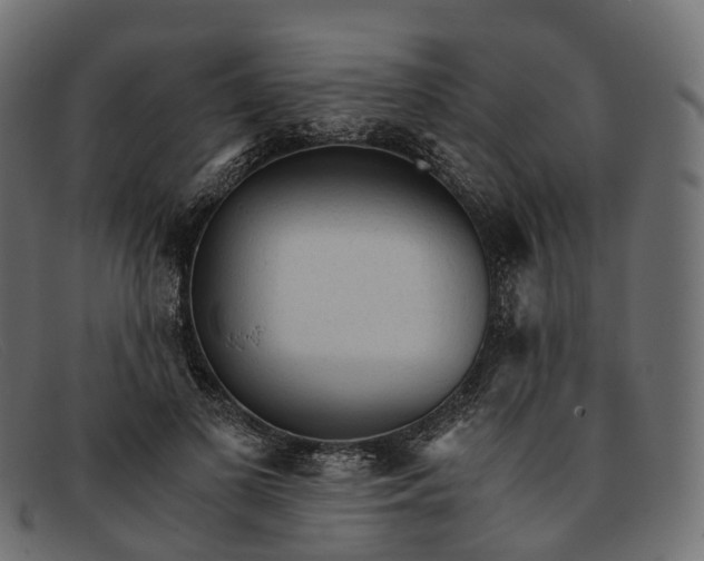 X0000091900693200709191238