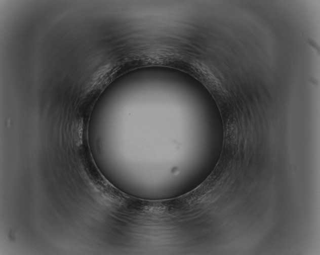 X0000091900694200709191238