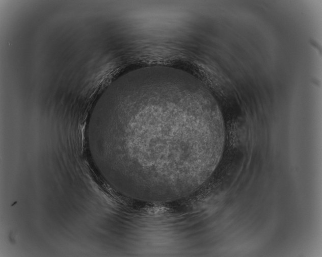 X0000091900695200709191238