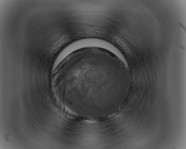 X0000091900696200709191238