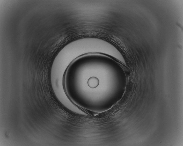 X0000091900697200709191238