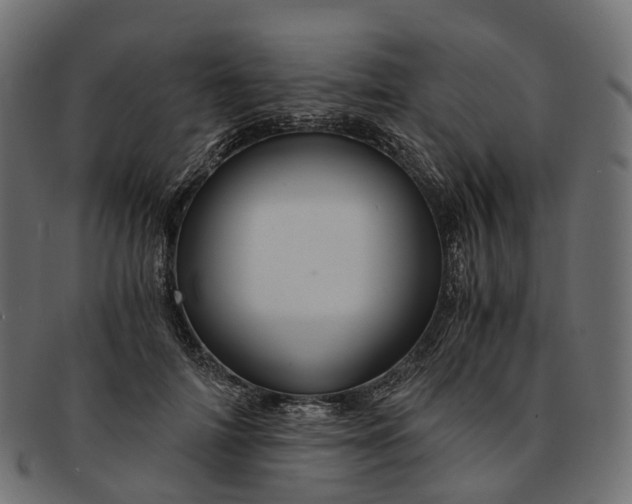 X0000091900698200709191238