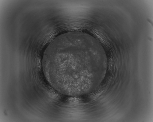 X0000091900699200709191238