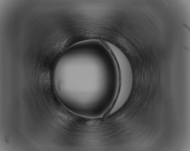 X0000091900700200709191238