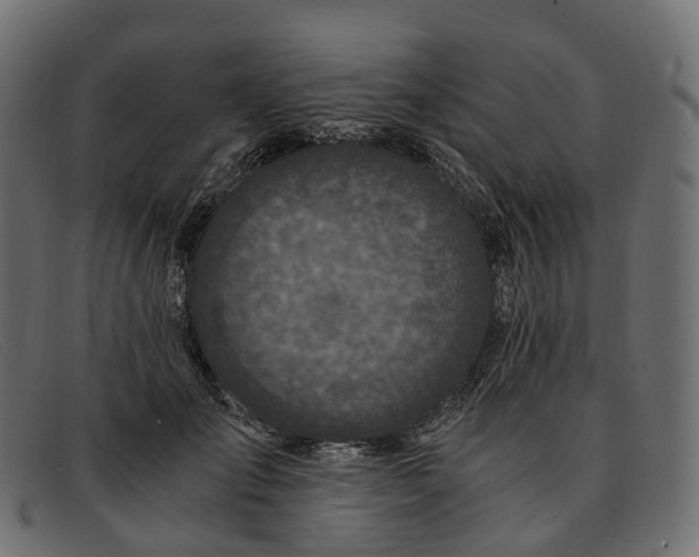 X0000091900701200709191238