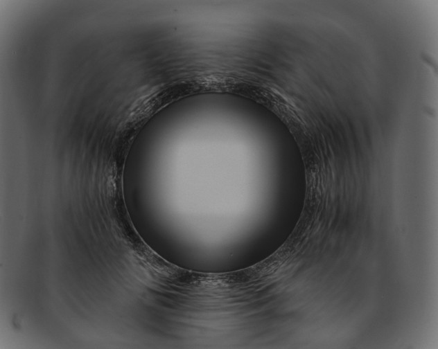 X0000091900702200709191238