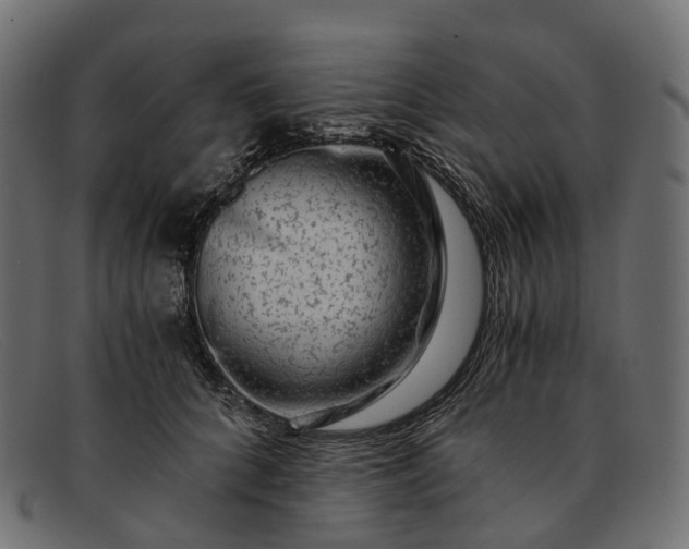 X0000091900704200709191238