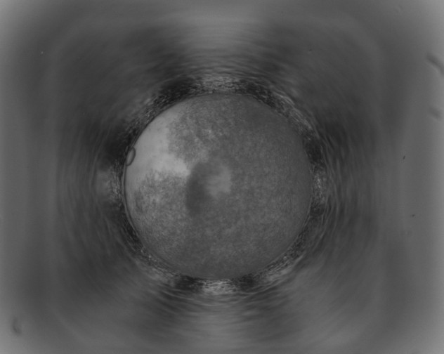 X0000091900705200709191238