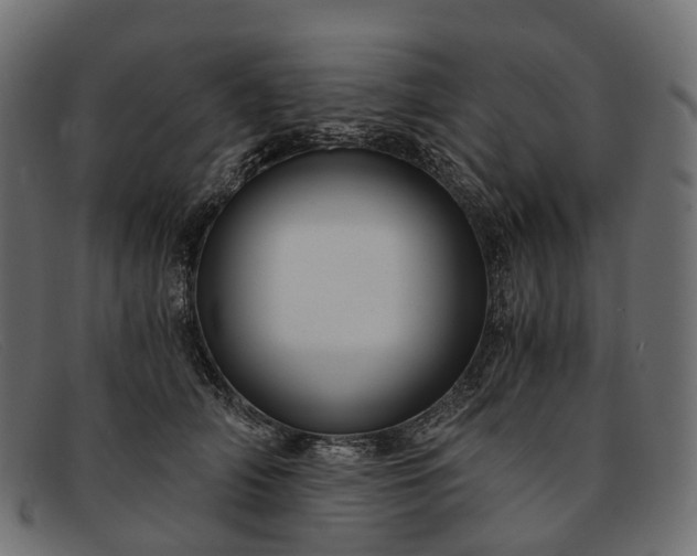 X0000091900706200709191238