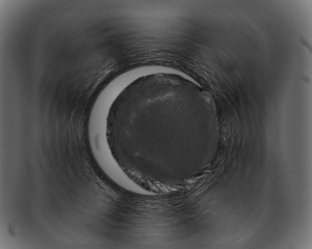 X0000091900708200709191238