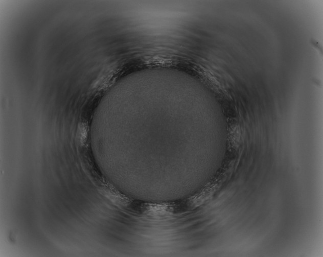 X0000091900709200709191238