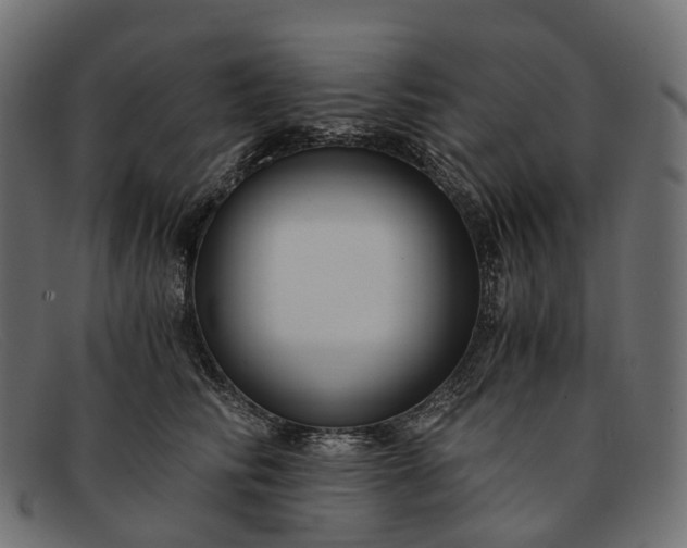 X0000091900710200709191238