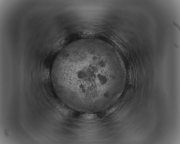 X0000091900711200709191238