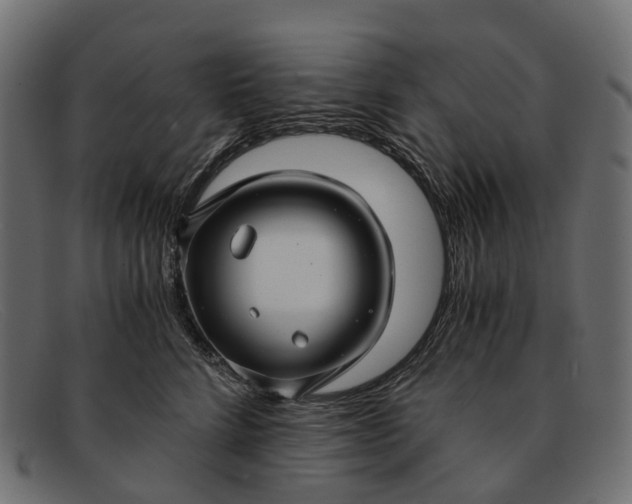 X0000091900712200709191238