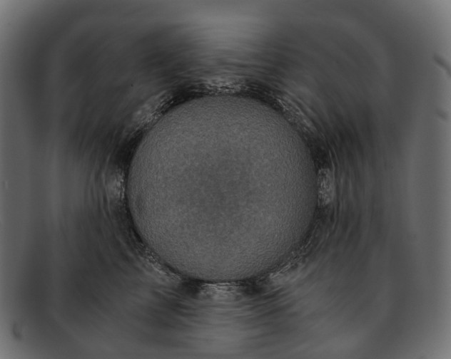 X0000091900713200709191238