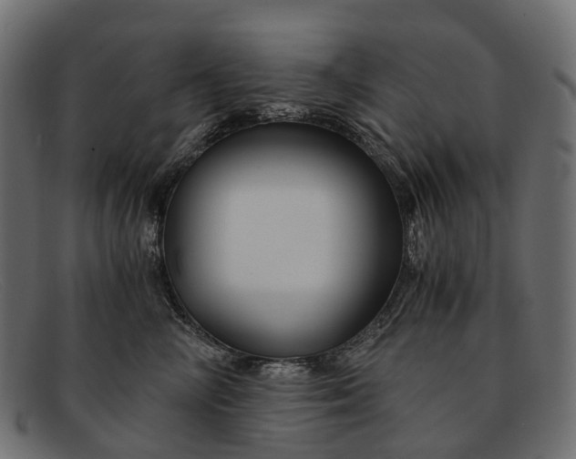 X0000091900714200709191237