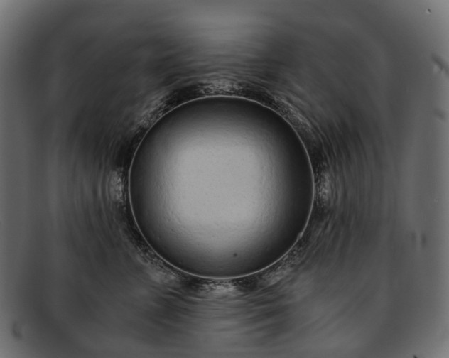 X0000091900715200709191237