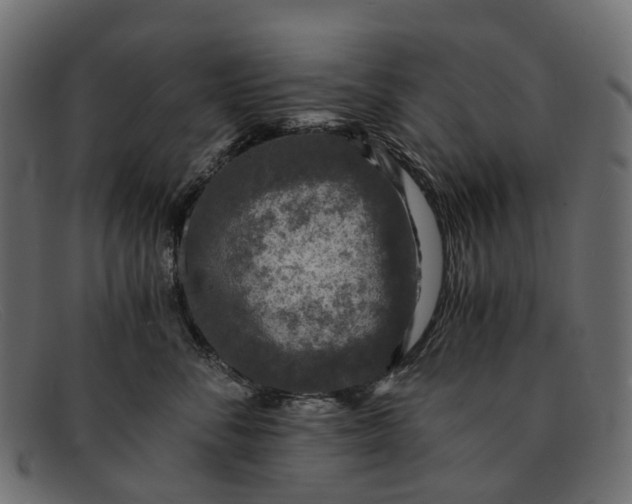 X0000091900716200709191237