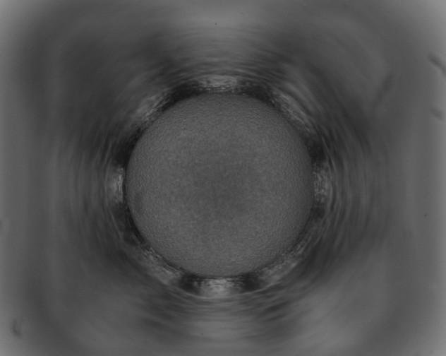 X0000091900717200709191237