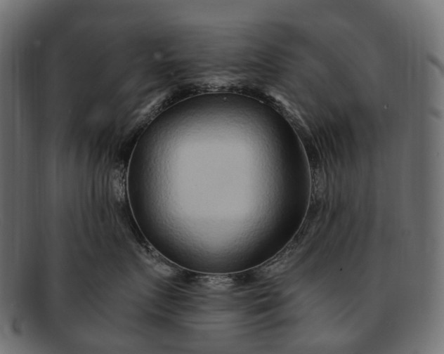 X0000091900719200709191237