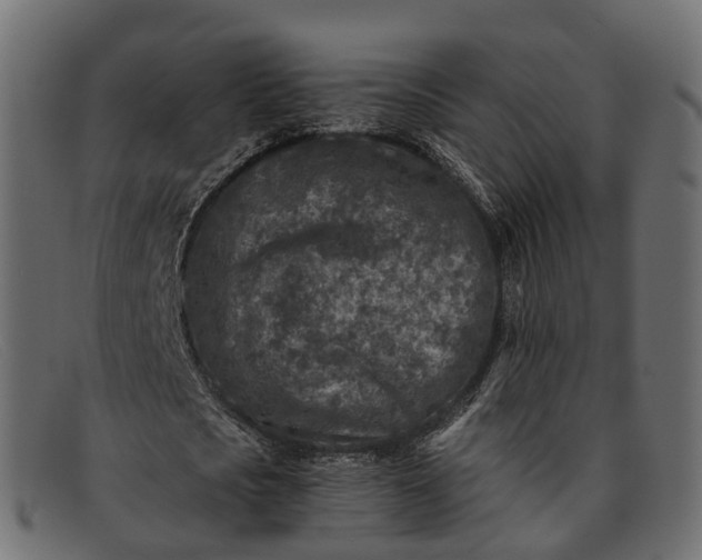 X0000091900721200709191237