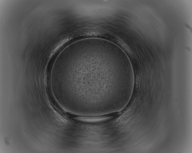 X0000091900722200709191237