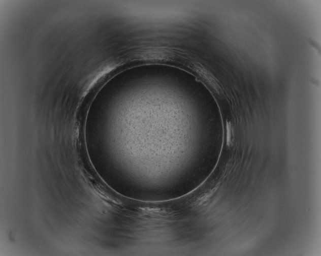 X0000091900723200709191237