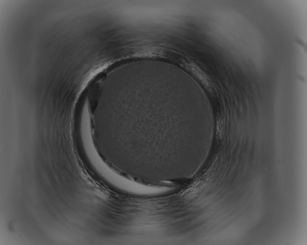 X0000091900724200709191237