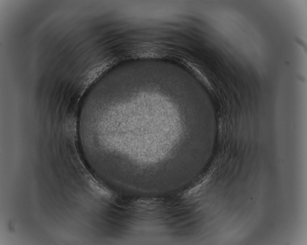 X0000091900725200709191237