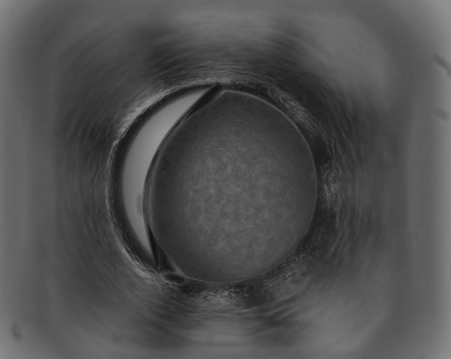 X0000091900728200709191237