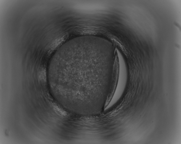 X0000091900729200709191237