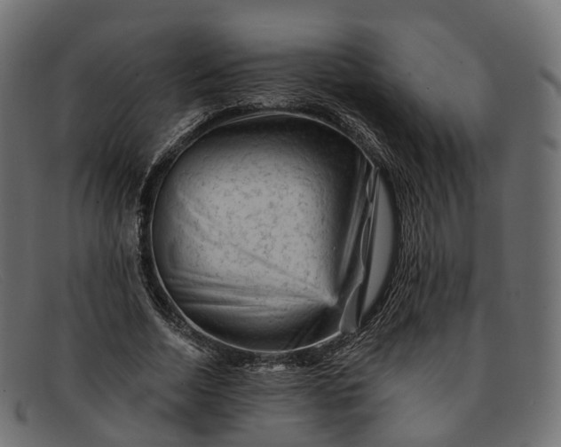 X0000091900730200709191237