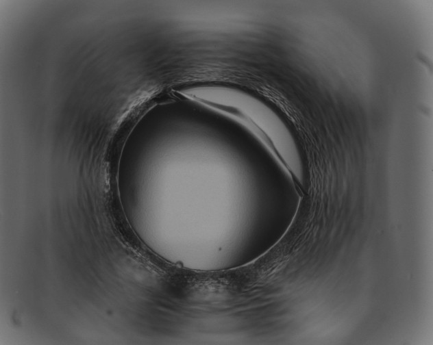 X0000091900731200709191237