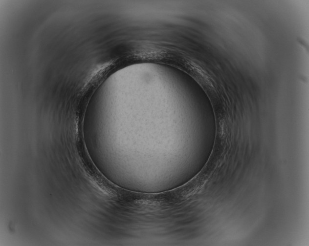 X0000091900733200709191237