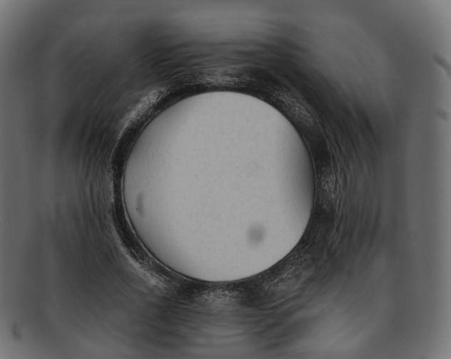 X0000091900734200709191237