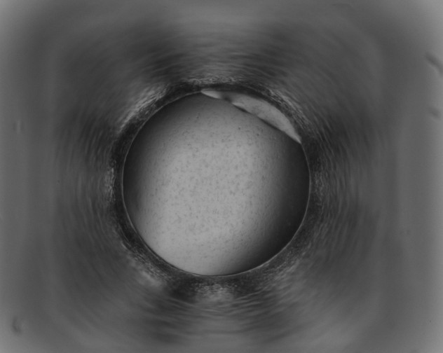 X0000091900735200709191237