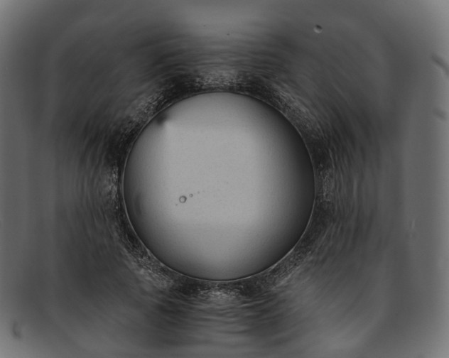 X0000091900737200709191237