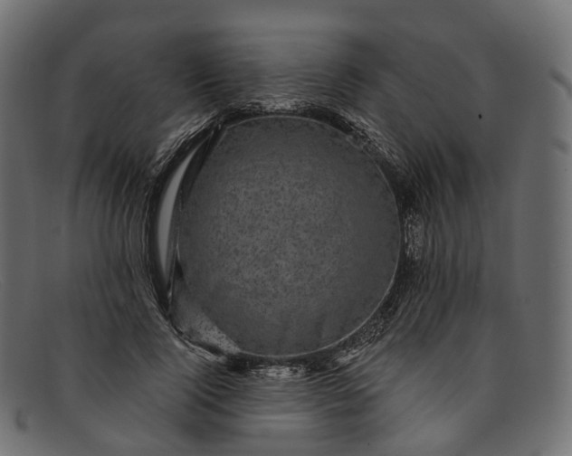 X0000091900740200709191237