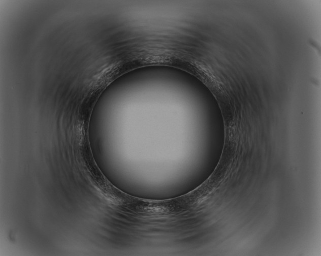 X0000091900741200709191237