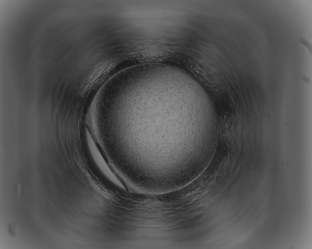 X0000091900742200709191237