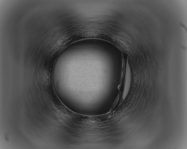 X0000091900743200709191237