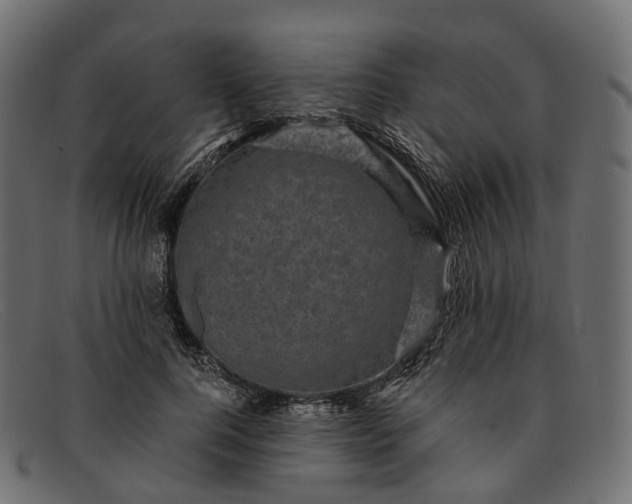 X0000091900744200709191237