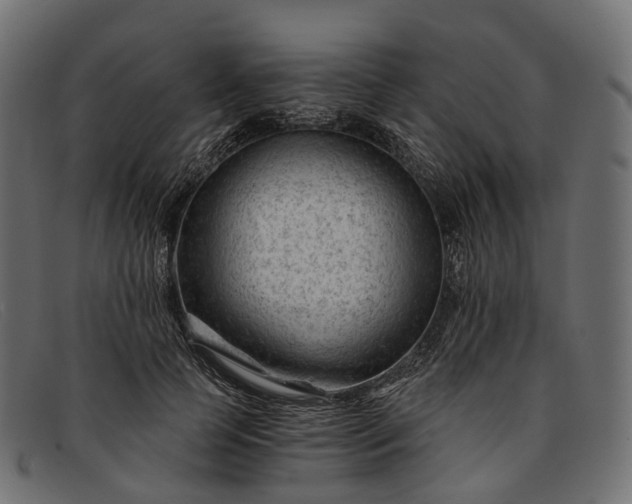 X0000091900745200709191237