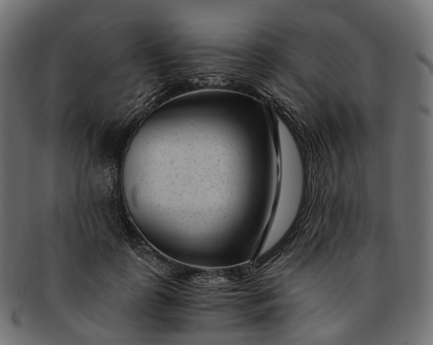 X0000091900747200709191237