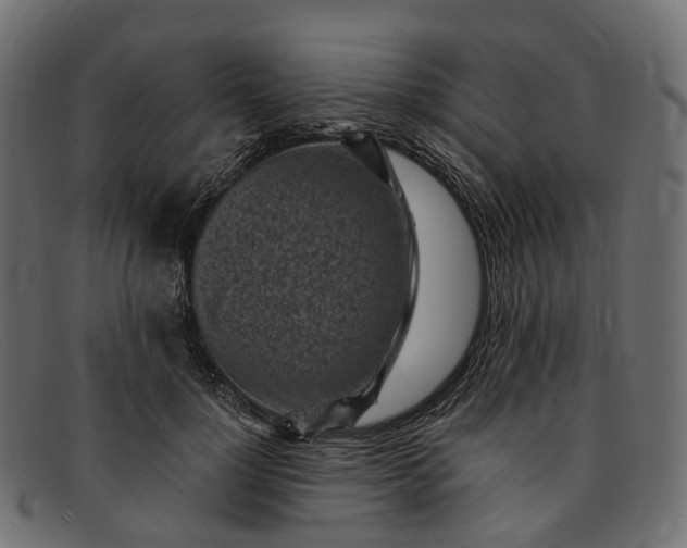 X0000091900748200709191237