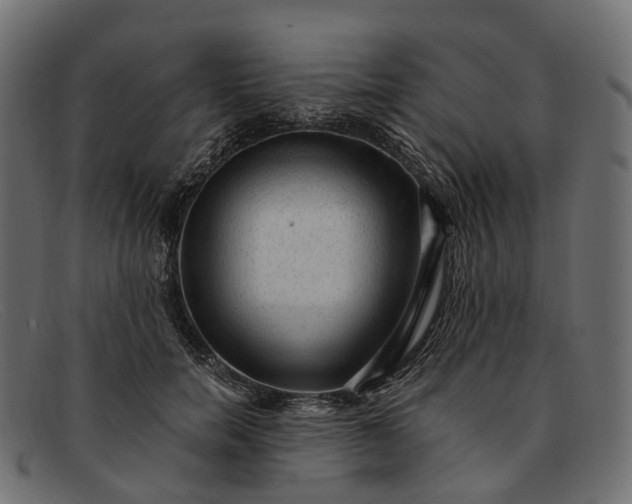 X0000091900750200709191237