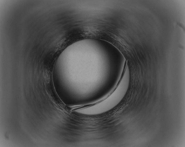 X0000091900751200709191237